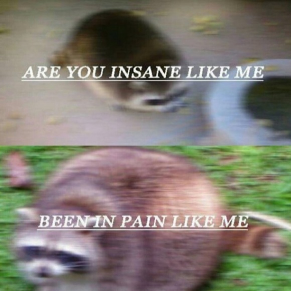 Meet your Posher, Sarah - Picture 1 of 1